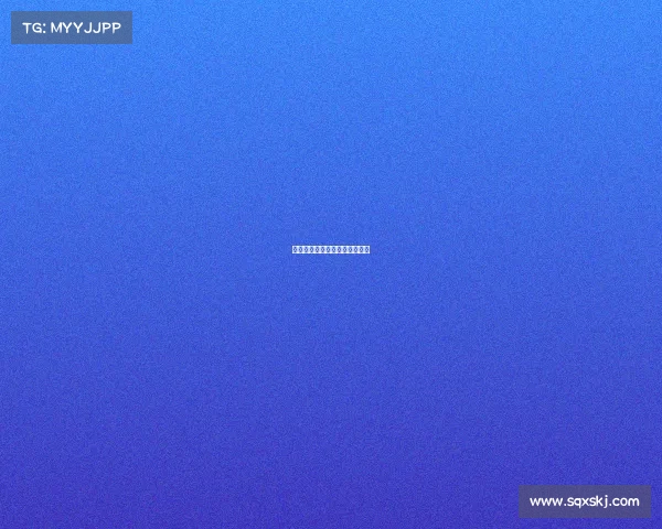 介绍赛事筹备情况和比赛筹备会